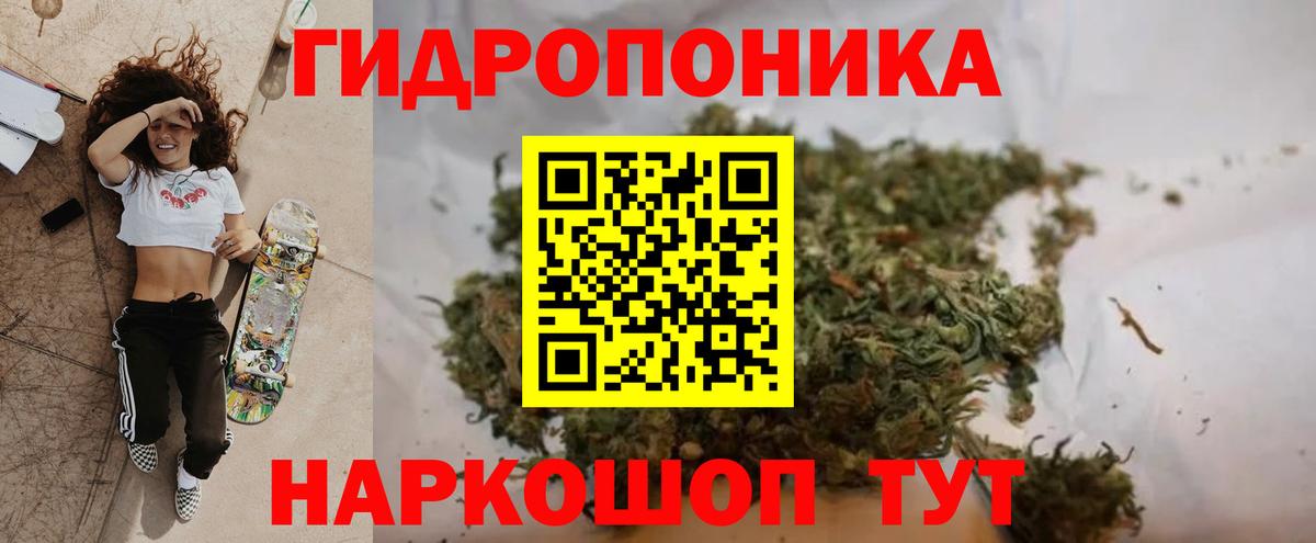 Бошки Шишки сатива Малгобек